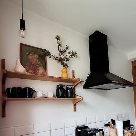 Vintage Anna Apartment クルディーガ エクステリア 写真